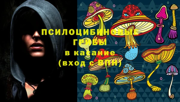 прущий лед Белокуриха