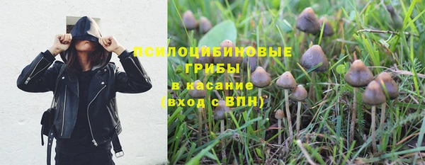 прущий лед Белокуриха