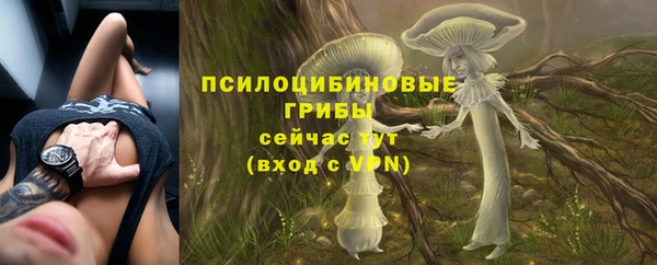 прущий лед Белокуриха