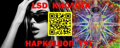 прущие грибы Краснодар