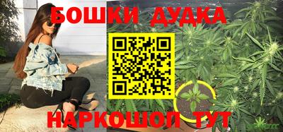 прущие грибы Краснодар
