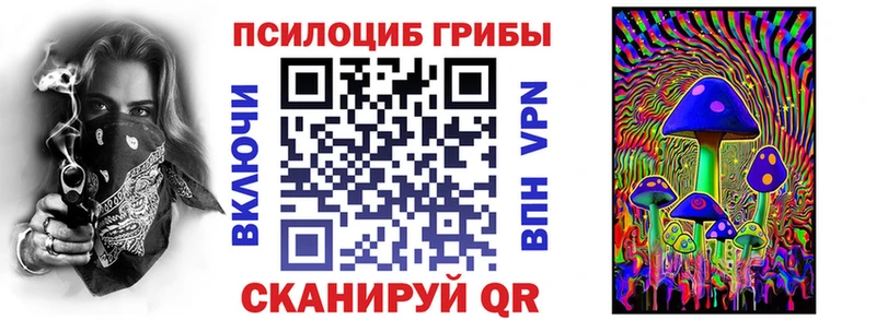 Псилоцибиновые грибы мухоморы  нарко площадка состав  Дальнегорск 