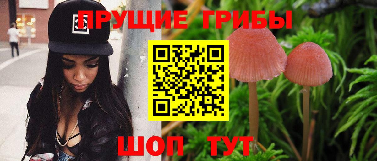 Галлюциногенные грибы прущие грибы Дальнегорск