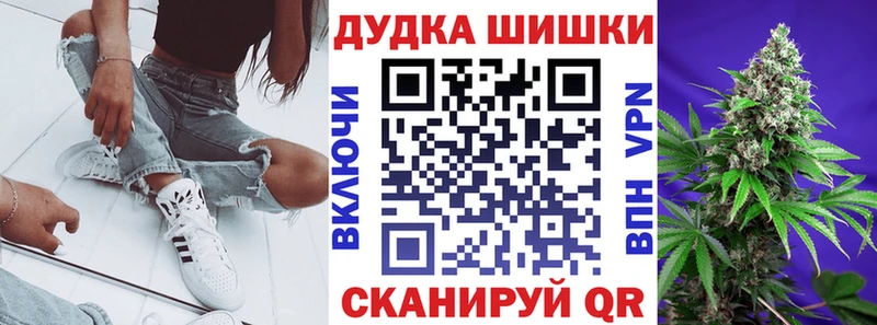 Бошки Шишки планчик  где найти наркотики  KRAKEN сайт  Дальнегорск 